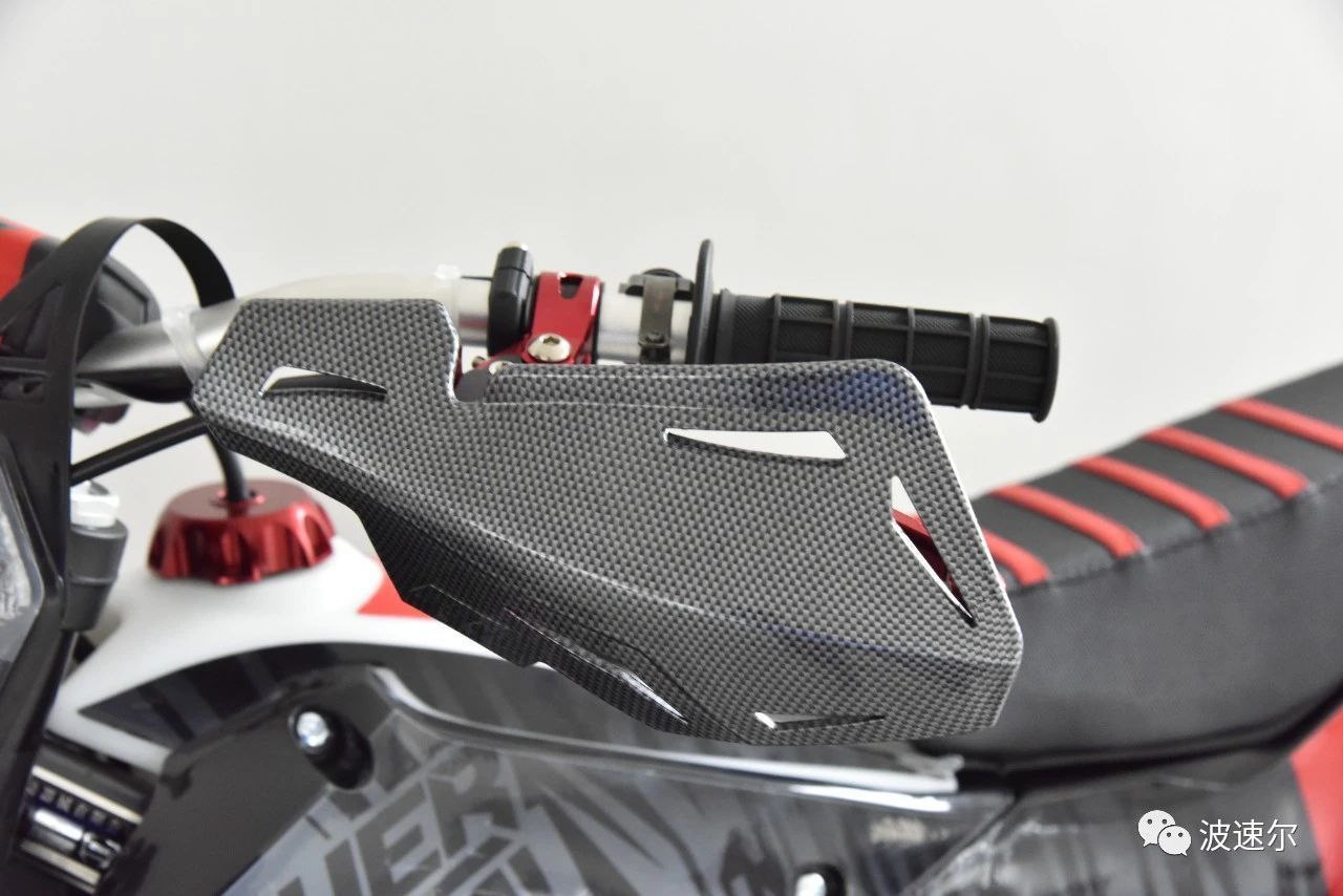 Raptor 300R thumbnail 3