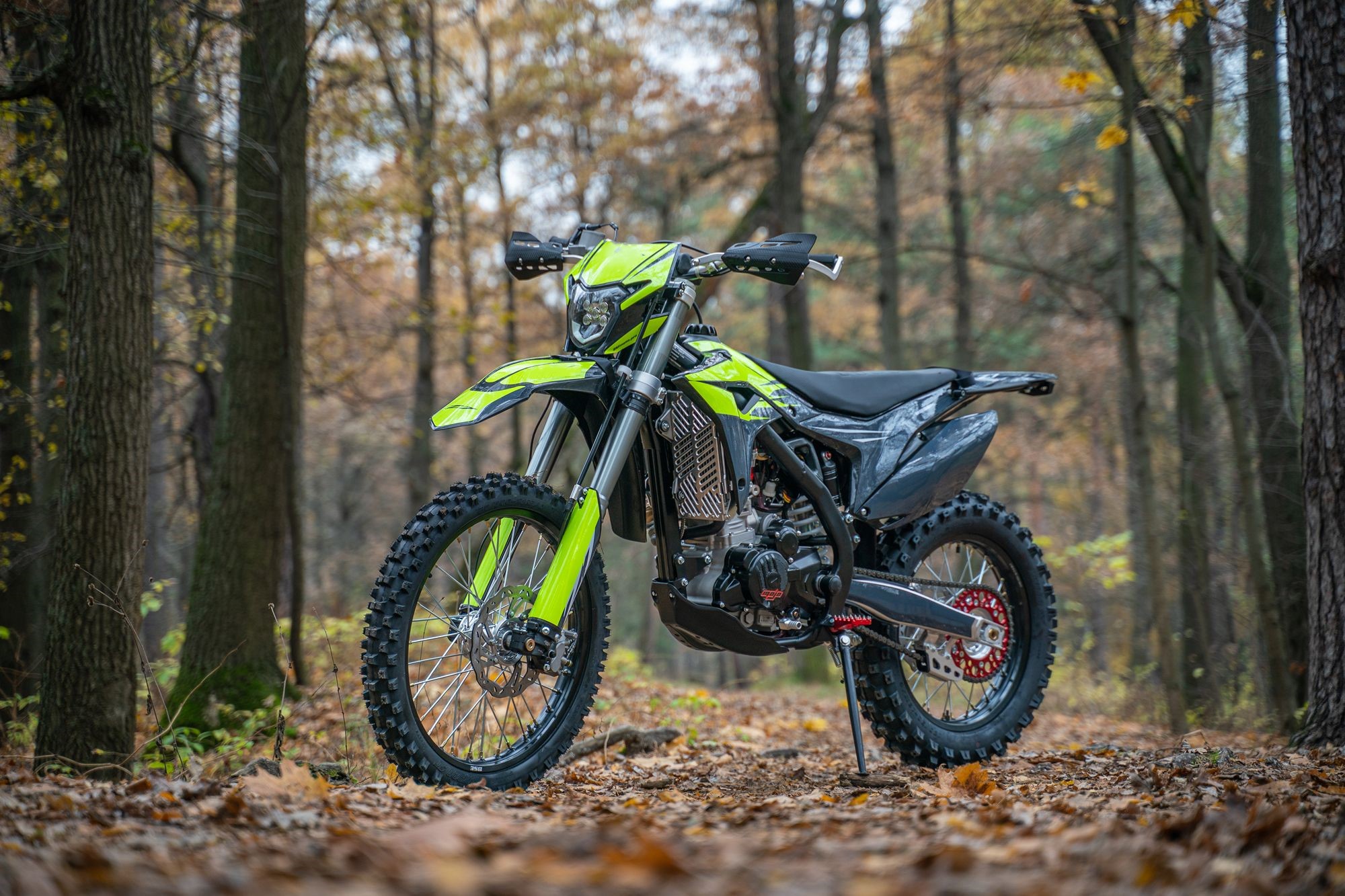 Raptor 300RR